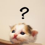 ペラサイトがいいの？コンテンツサイトがいいの？